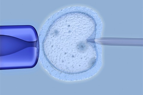 http://zhongshan.huochezhan.net/post/208.html|中山捐卵费用