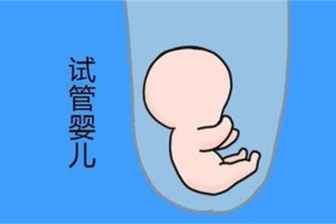 培养中山捐卵宝宝艺术细胞的小技巧