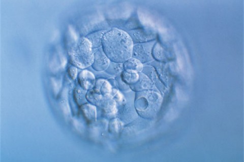http://zhongshan.huochezhan.net/post/200.html|中山新闻中心
